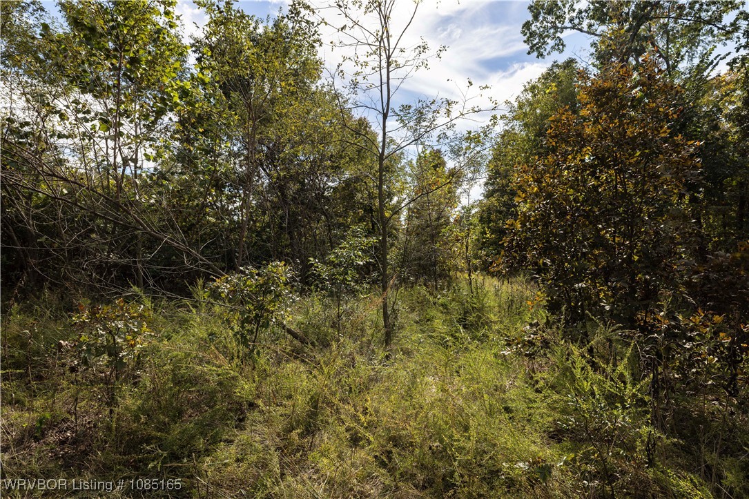 main property photo 12
