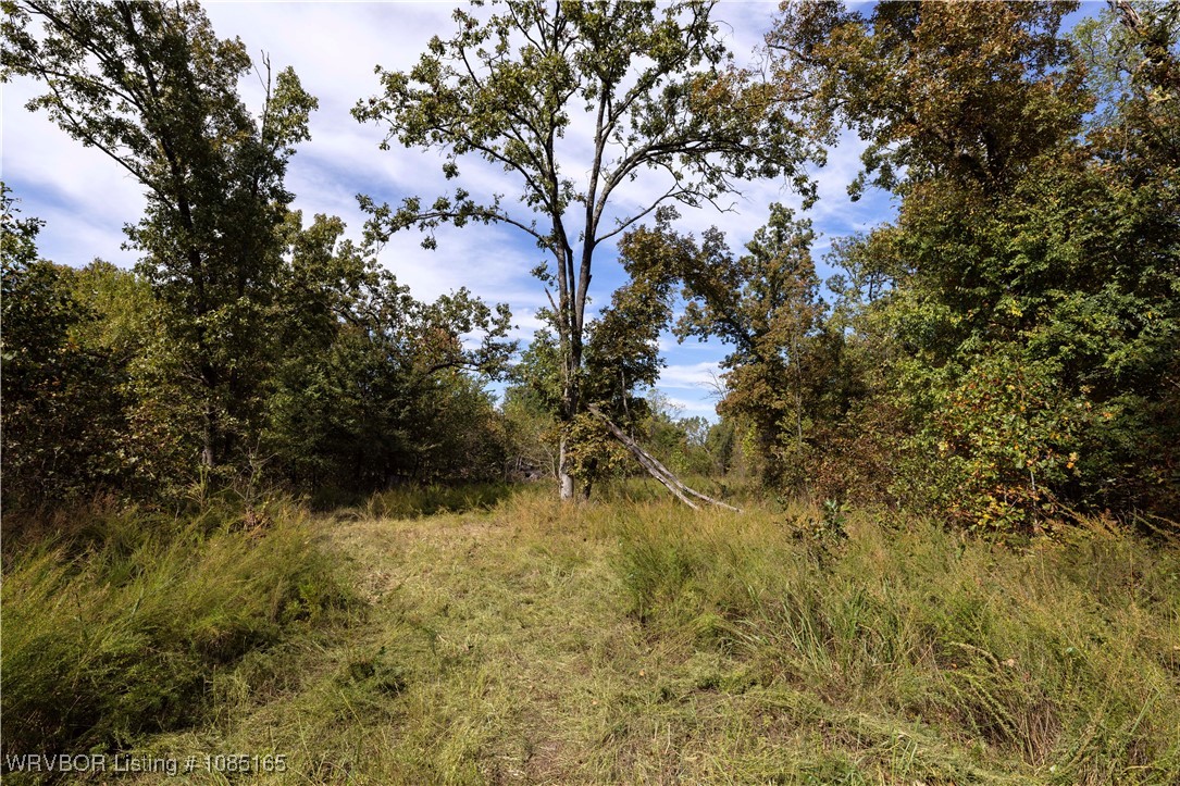 main property photo 13
