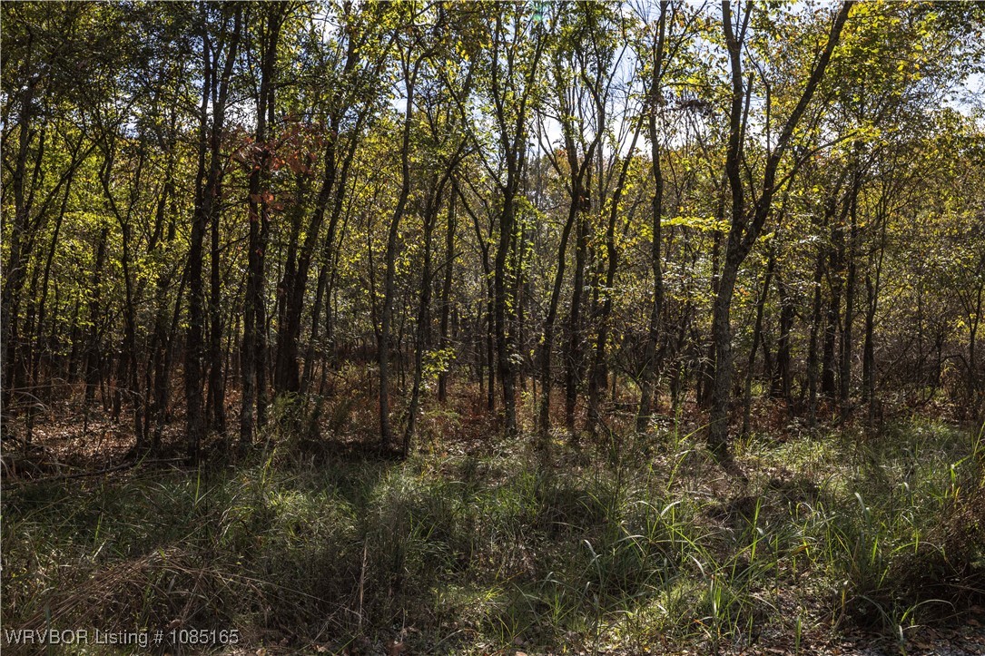 main property photo 17
