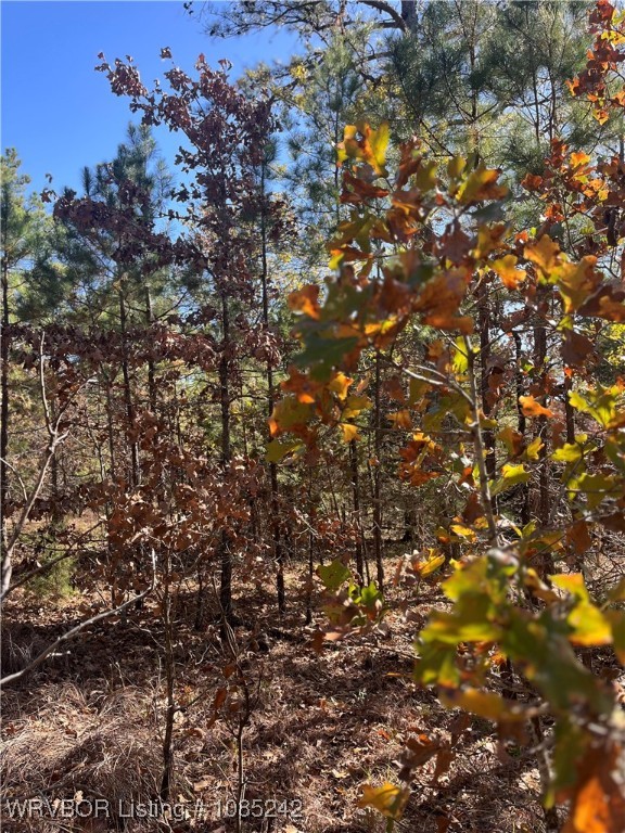 main property photo 11
