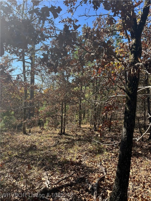 main property photo 6