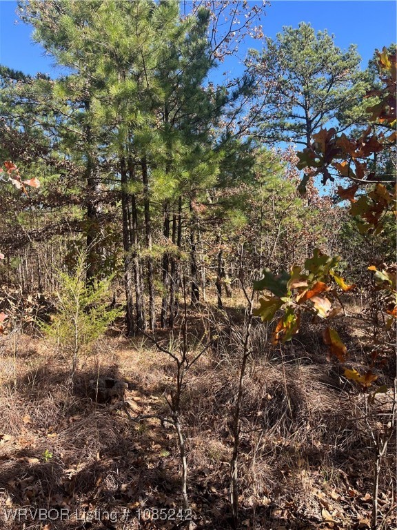 main property photo 8
