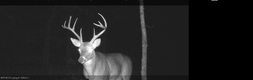 property viewer photo 13