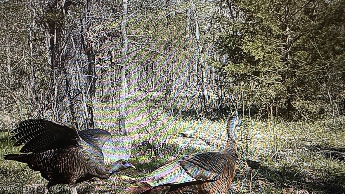 property viewer photo 15