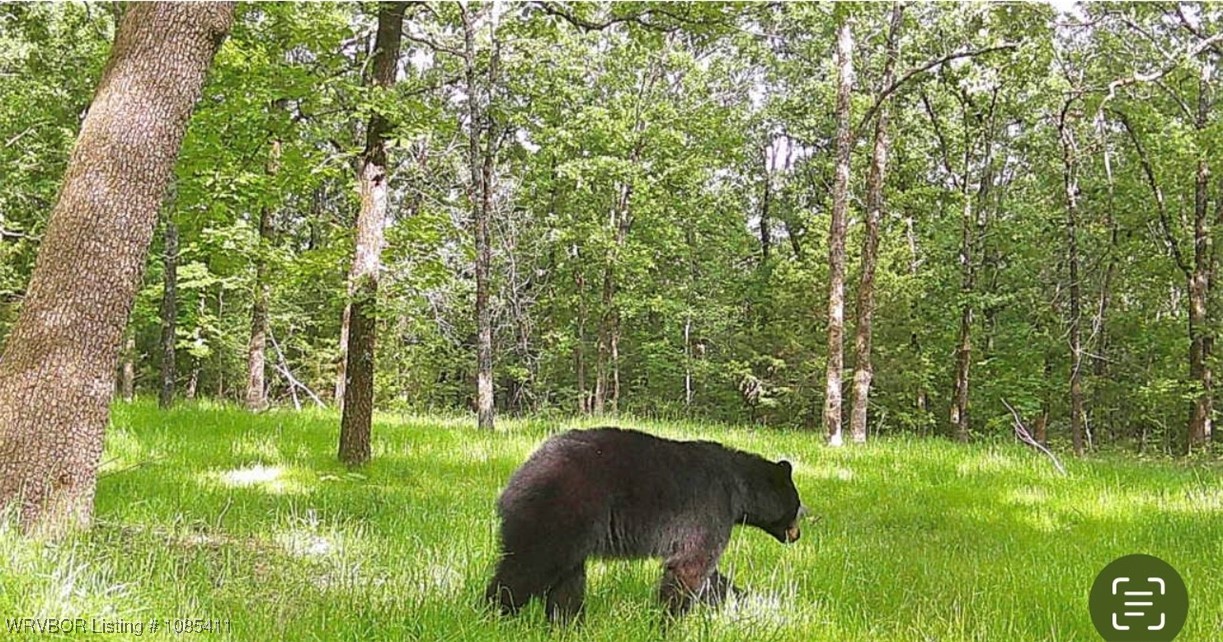 property viewer photo 17