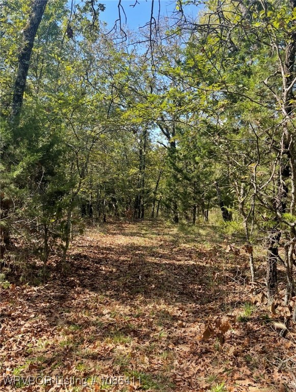 property viewer photo 20