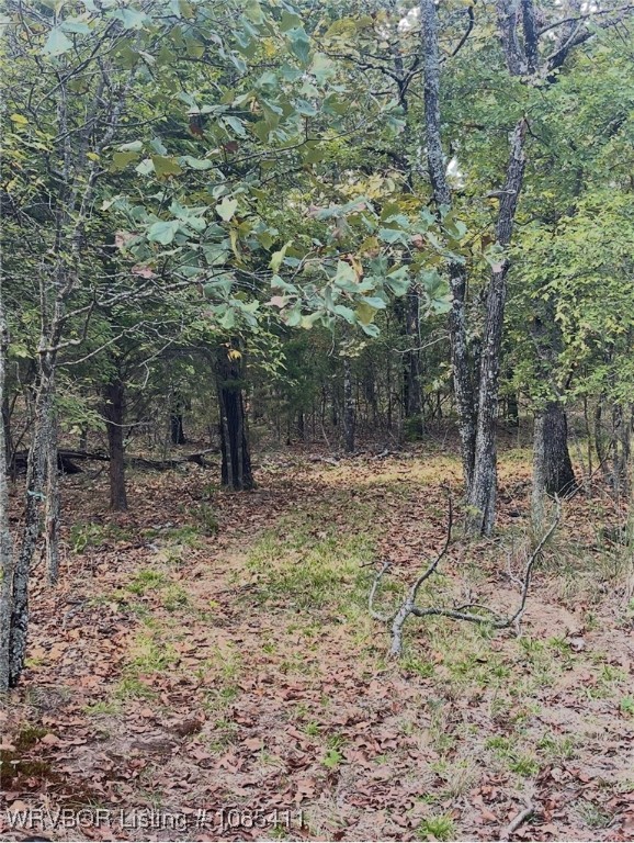 property viewer photo 22