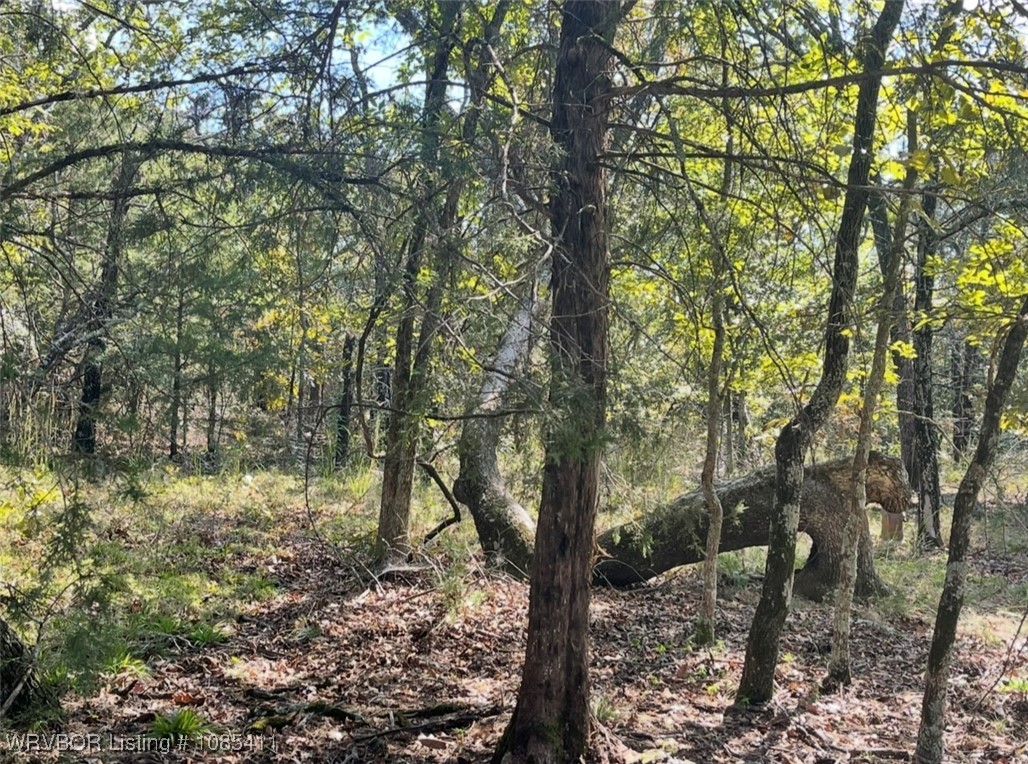 property viewer photo 23