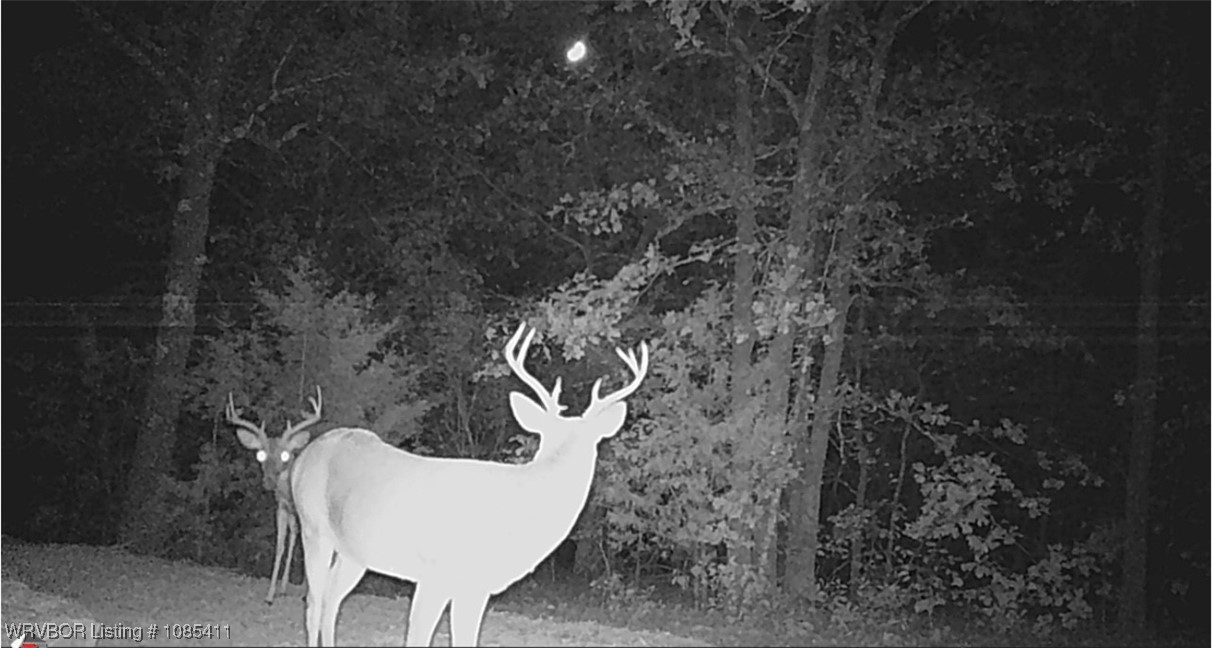 property viewer photo 4