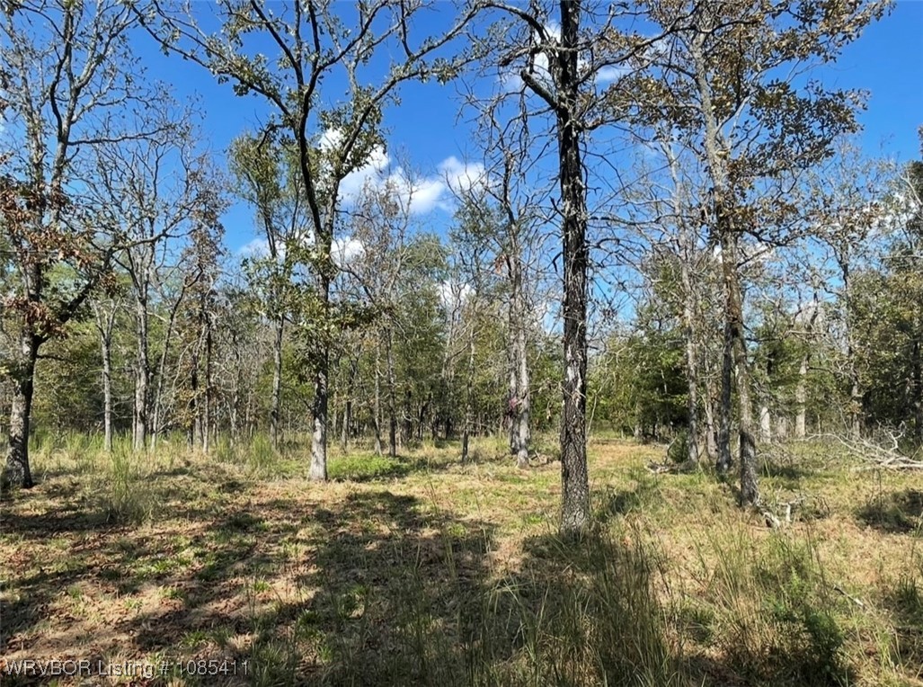 property viewer photo 5