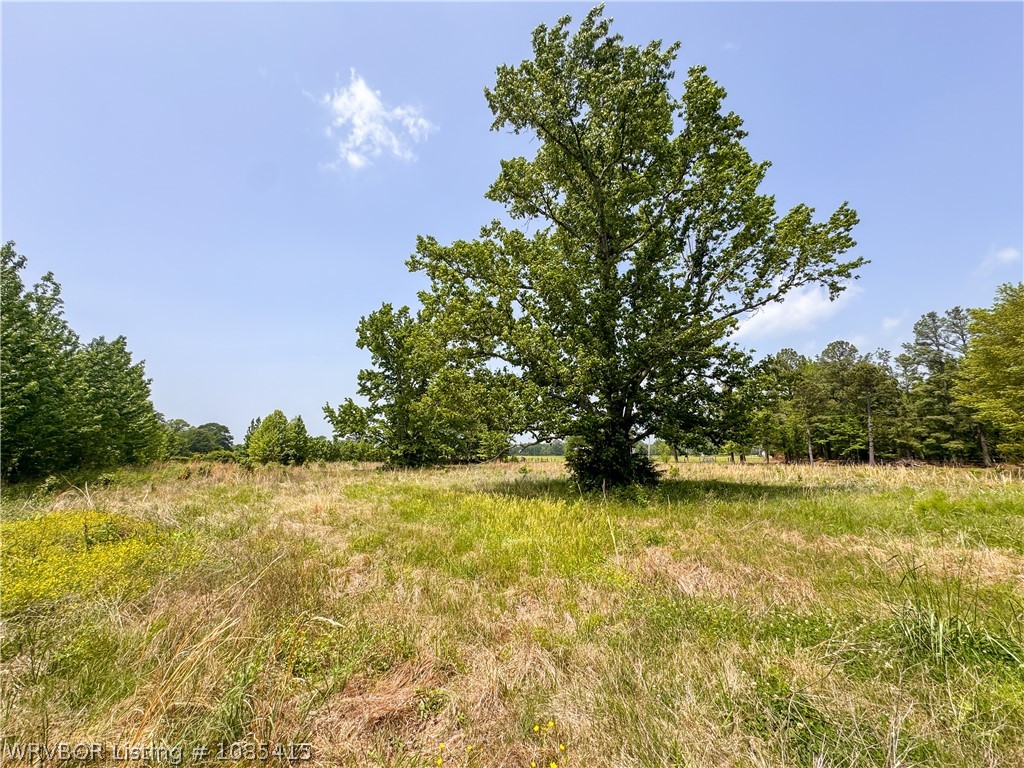 main property photo 48