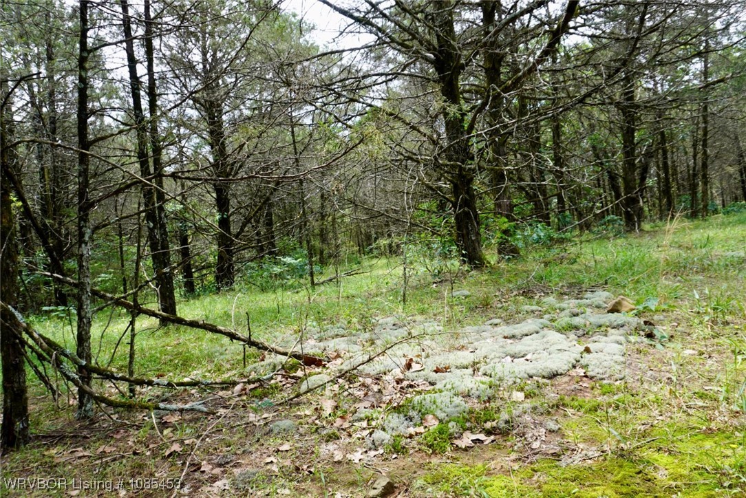 main property photo 26