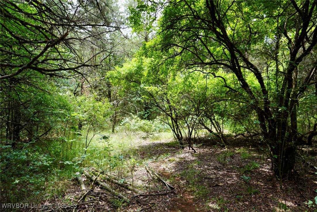 main property photo 32