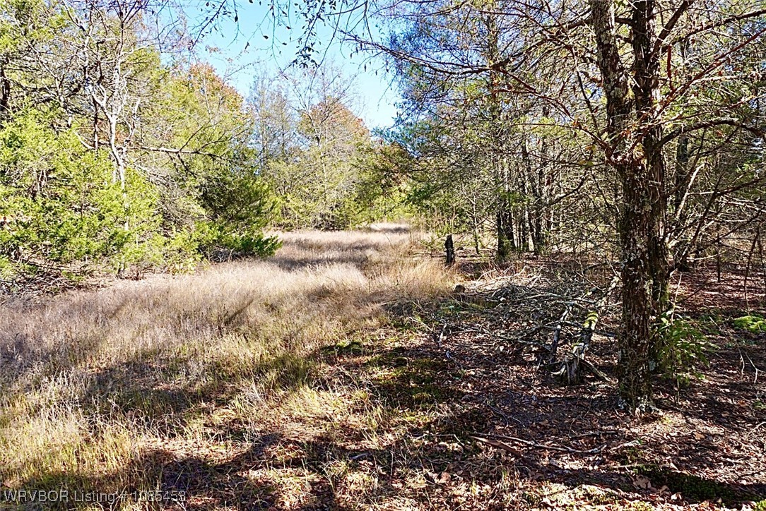 main property photo 40