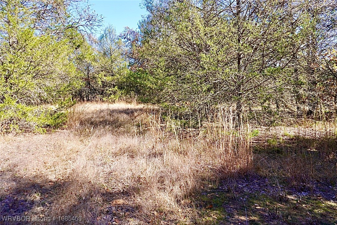 main property photo 41