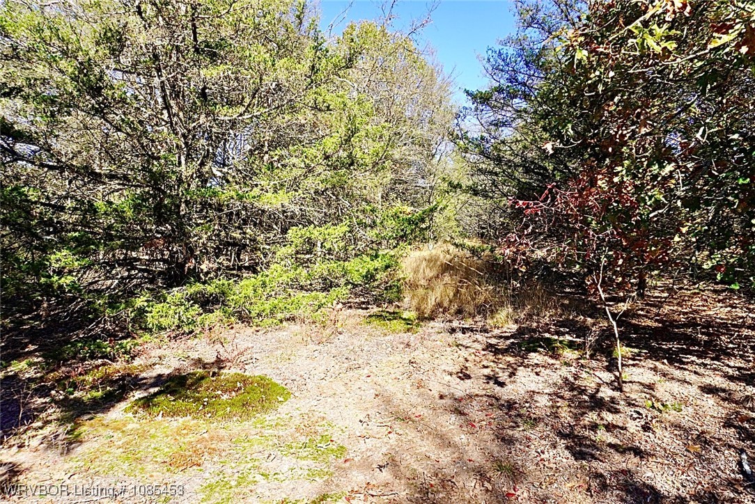 main property photo 42