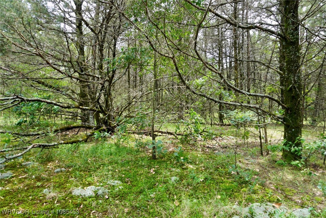 main property photo 44