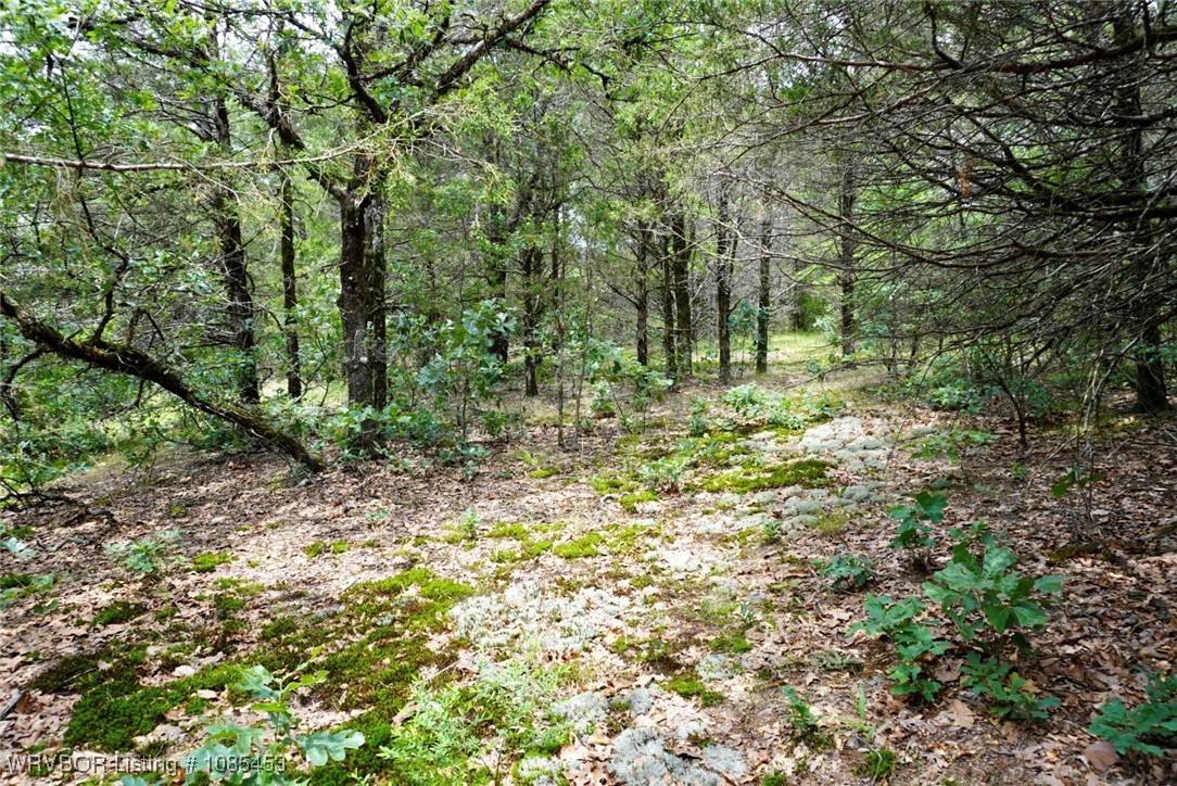 main property photo 46