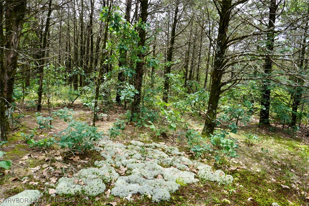 main property photo 47