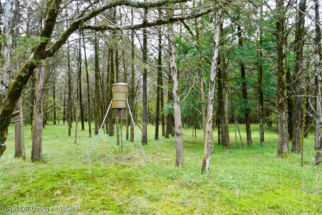 main property photo 53