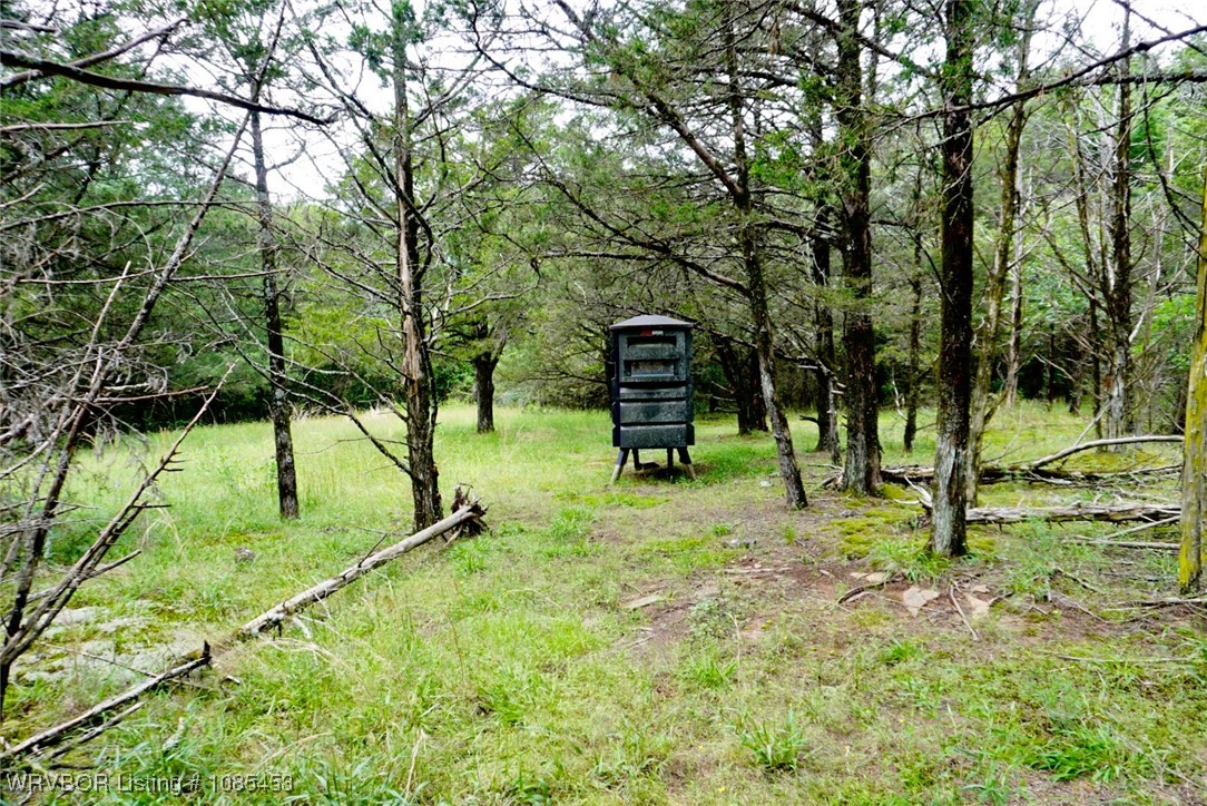 main property photo 55