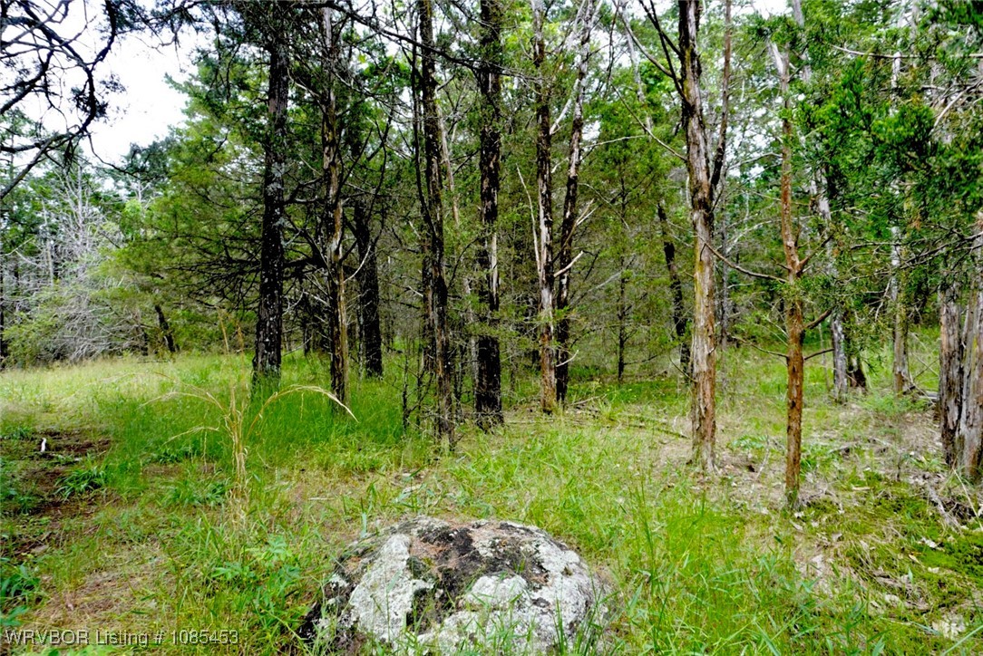 main property photo 56
