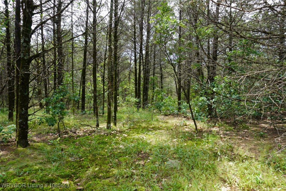 main property photo 60
