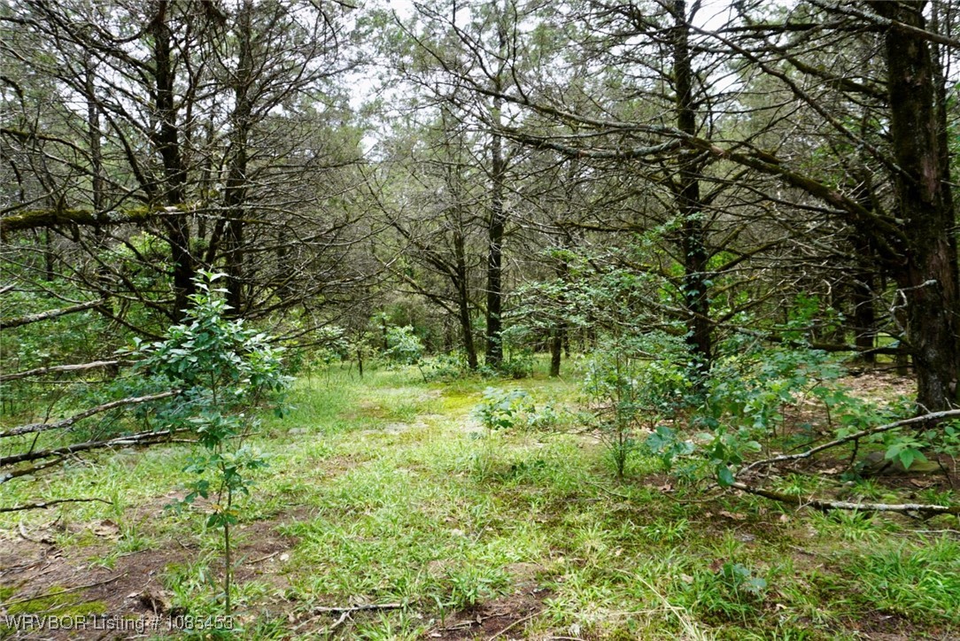 main property photo 61