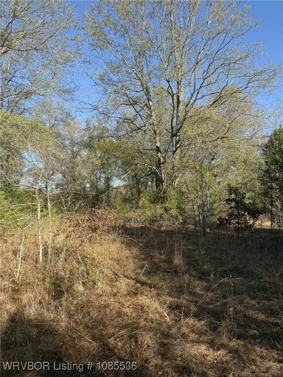 main property photo 10