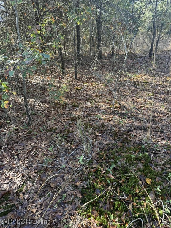 main property photo 11