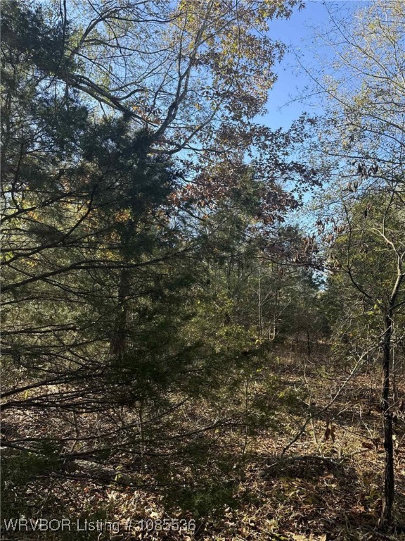 main property photo 12