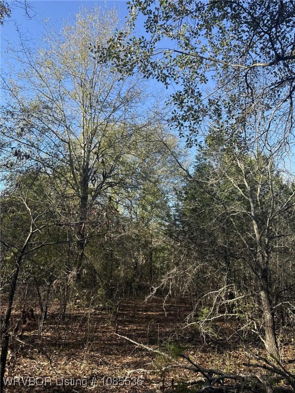 main property photo 13
