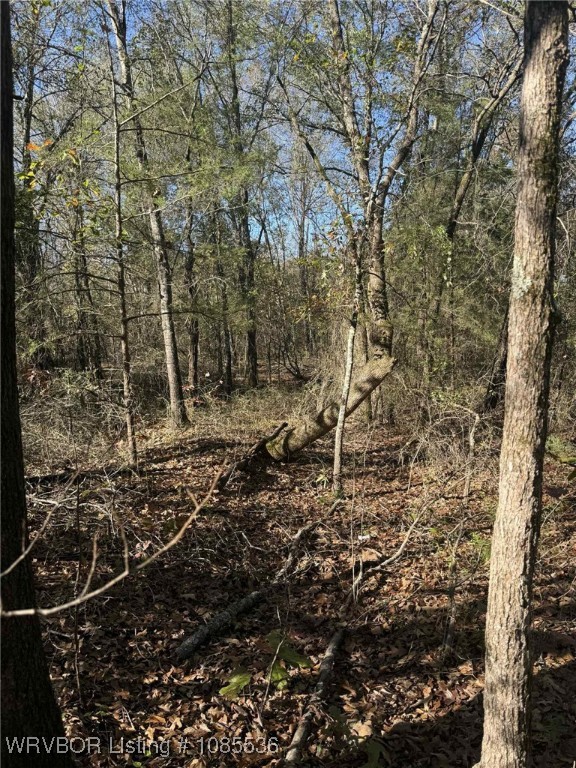 main property photo 6