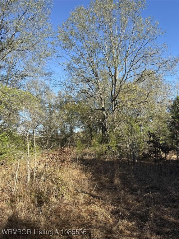 main property photo 9
