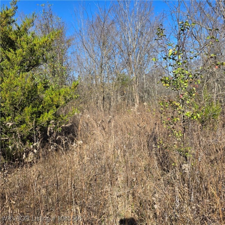 main property photo 8