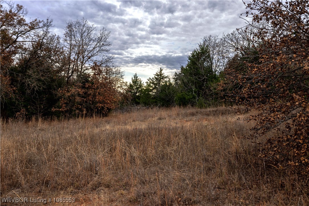 main property photo 10