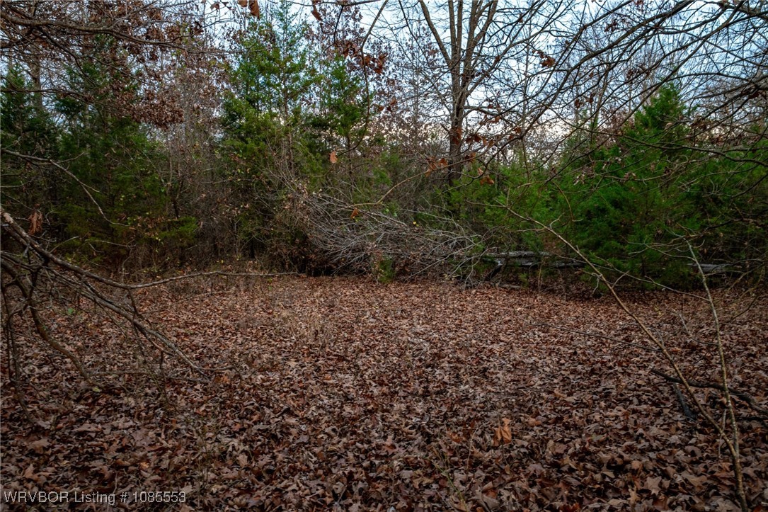 main property photo 14