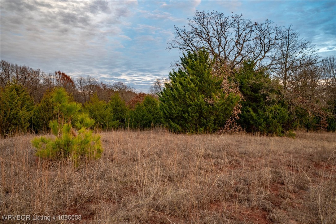 main property photo 4