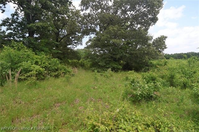 main property photo 6