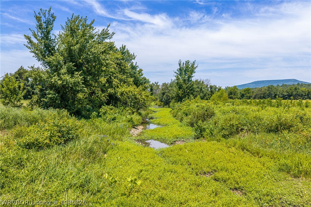 main property photo 66