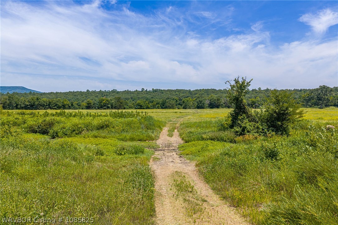 main property photo 71