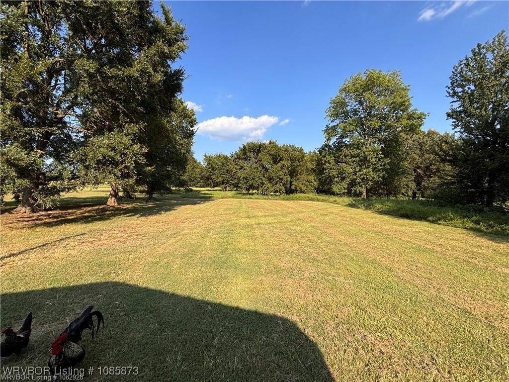 main property photo 40
