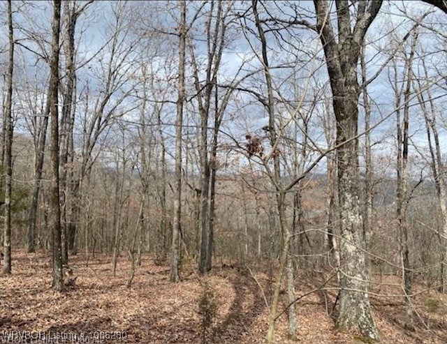 main property photo 13