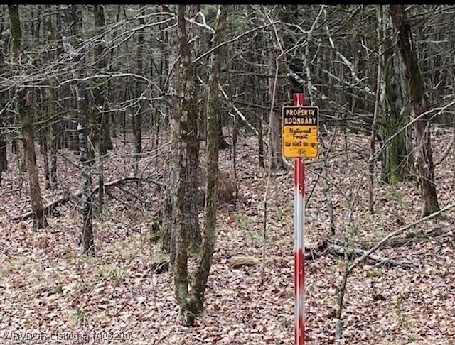 main property photo 6