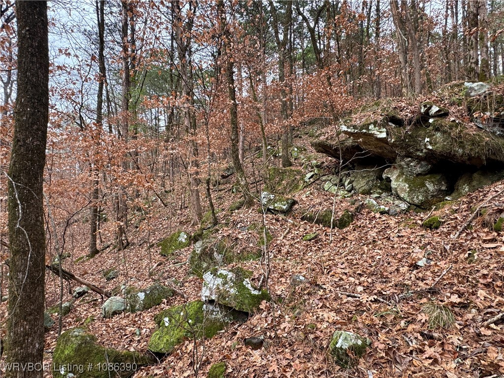 main property photo 32