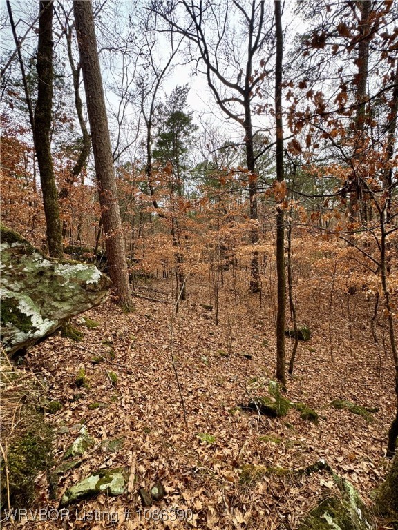 main property photo 35