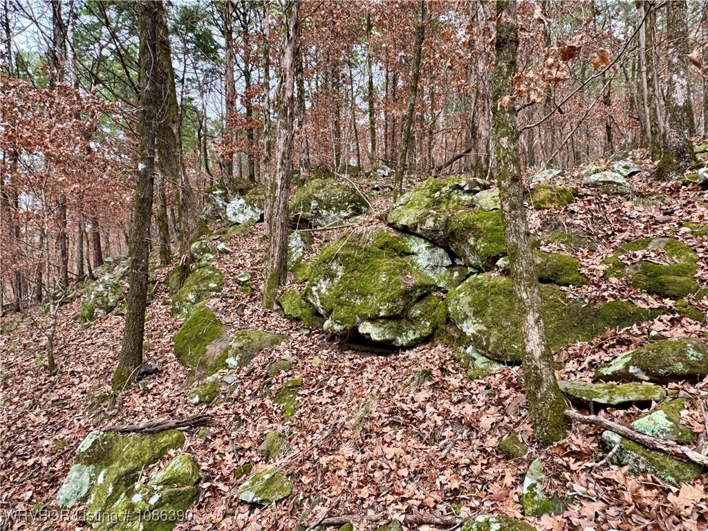 main property photo 36