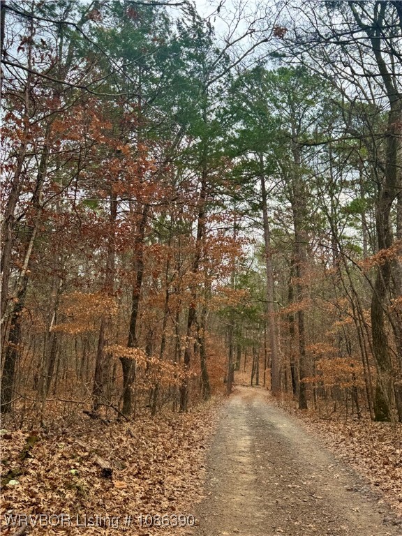 main property photo 6