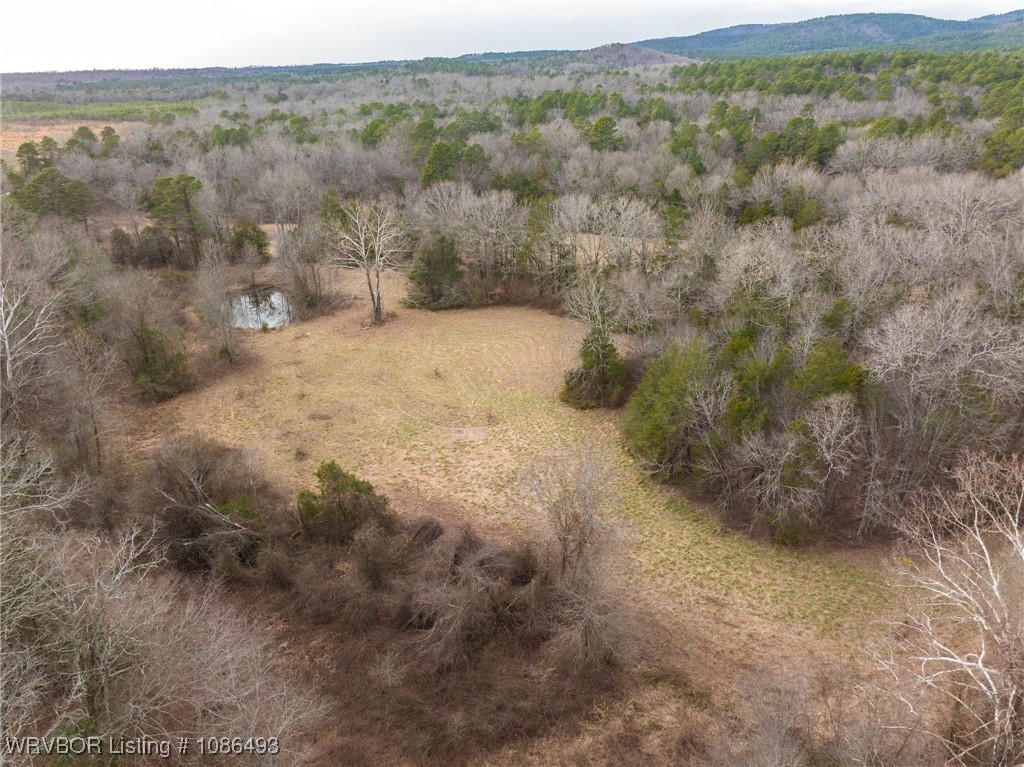 main property photo 58