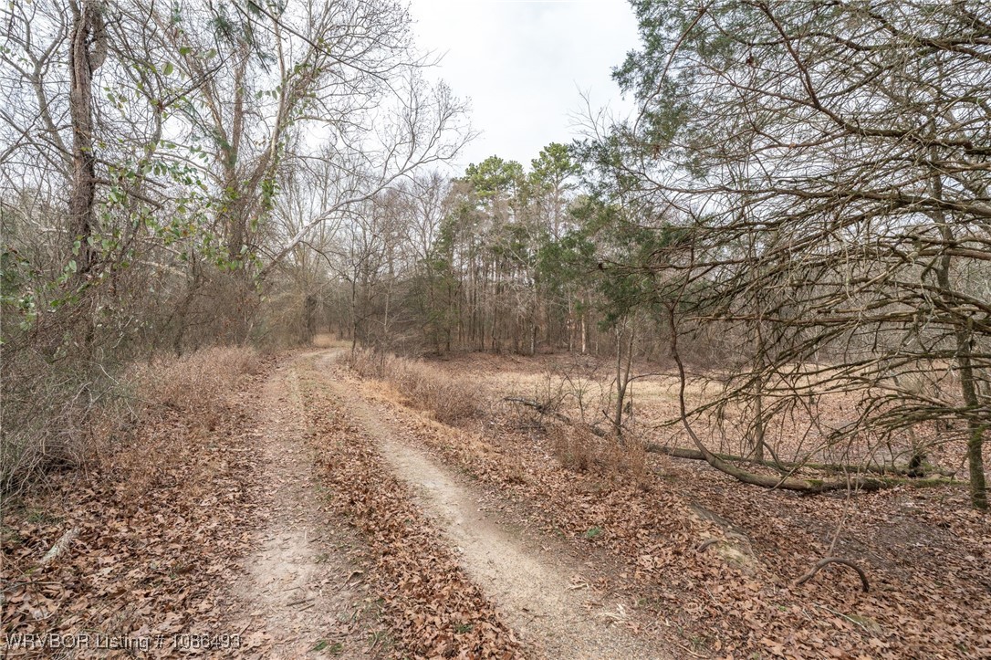 main property photo 61